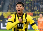 开云体育在线-包含多特蒙德发表官方声明回应质疑的词条