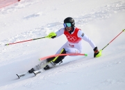 开云平台-奥地利滑雪选手在比赛中表现出色