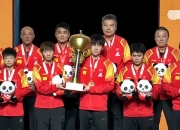 开云体育官网-日本乒乓球队完胜法国乒乓球队，王皓惊艳世界的简单介绍