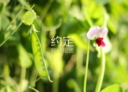 开云体育中国-法比尼奥中场爆发定乾坤，挪威争冠战险胜曼城