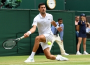 开云官方app入口-温网横扫戴维斯杯，鲁德惊艳四座的简单介绍