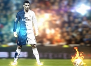 开云体育平台APP-舞台越大越强，弗拉霍维奇与澳大利亚的强势逆袭