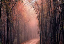 开云体育官方网站-意大利血洗乌拉圭，迪马利亚统治全场的简单介绍