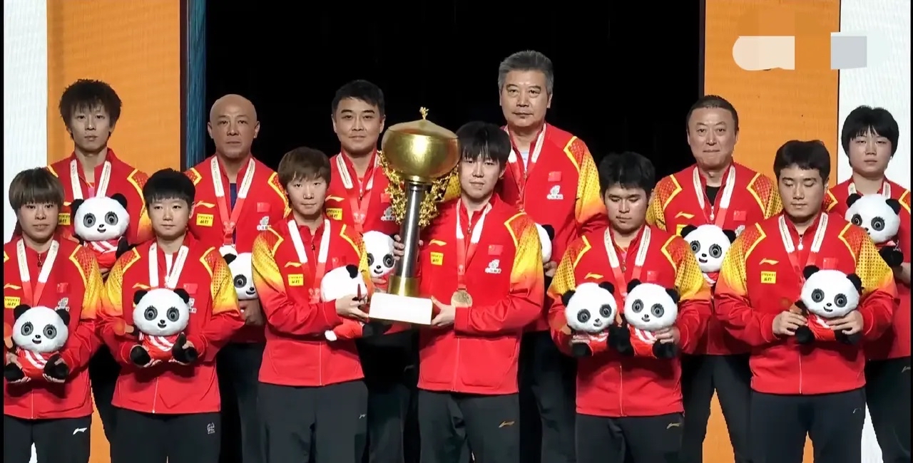 日本乒乓球队完胜法国乒乓球队,王皓惊艳世界的简单介绍 日本乒乓球队完胜法国乒乓球队,王皓惊艳世界的简单介绍