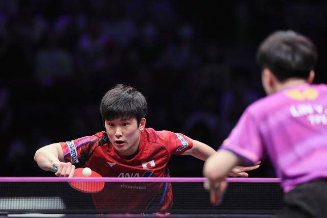 奥地利队轻取波兰队,张本智和状态火热的简单介绍 奥地利队轻取波兰队,张本智和状态火热的简单介绍