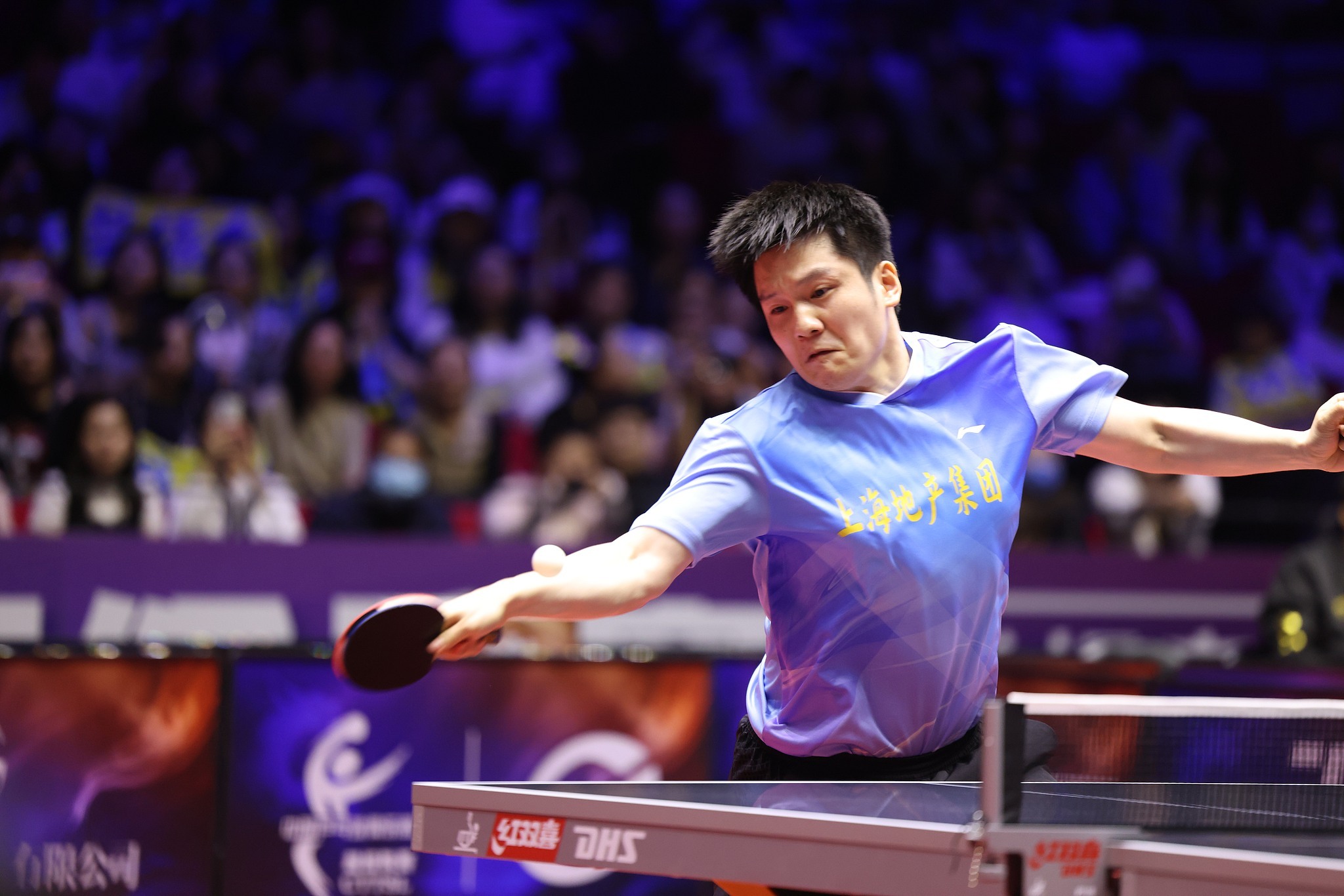 包含波兰乒乓球队横扫英国乒乓球队，樊振东爆发神勇的词条