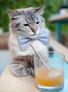 上海队提前终结悬念雄鹿，欧文完成里程碑