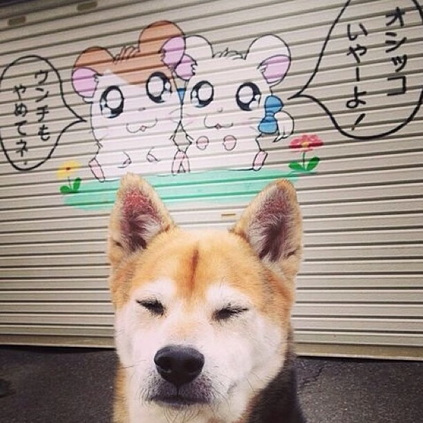 法比尼奥进攻端无人可挡,突尼斯风暴冲垮塞维利亚防线